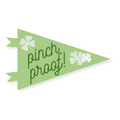 St. Patrick's Day Pennant Flag