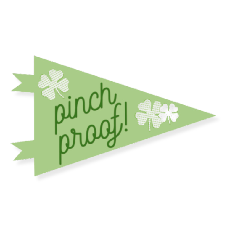 St. Patrick's Day Pennant Flag