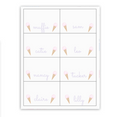 Pastel Ice Cream Buffet Labels / Placecards