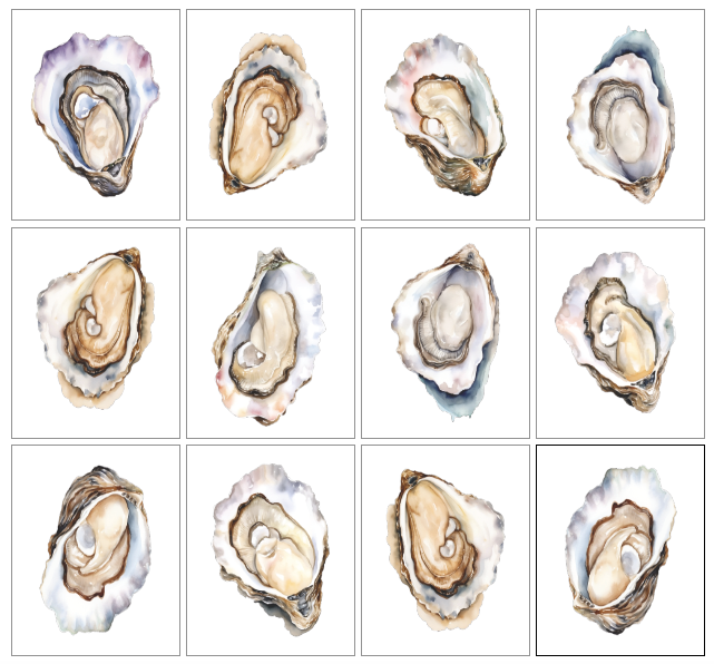 White Oyster Gallery