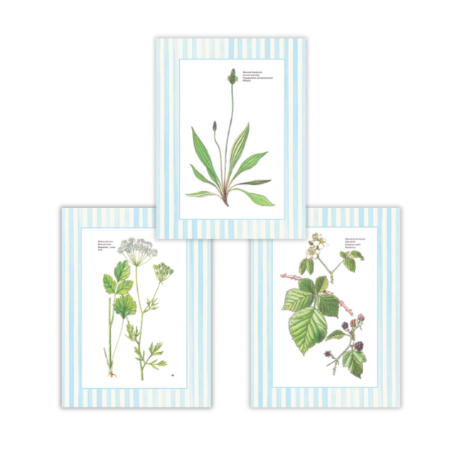 Botanicals on Stripes Gallery
