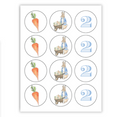 Classic Peter Rabbit Cupcake Toppers