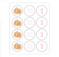 Pink Pumpkin Patch Party Cupcake Toppers