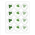 Little Luck Cupcake Toppers