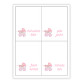 Pink Sip & See Placecards / Buffet Labels