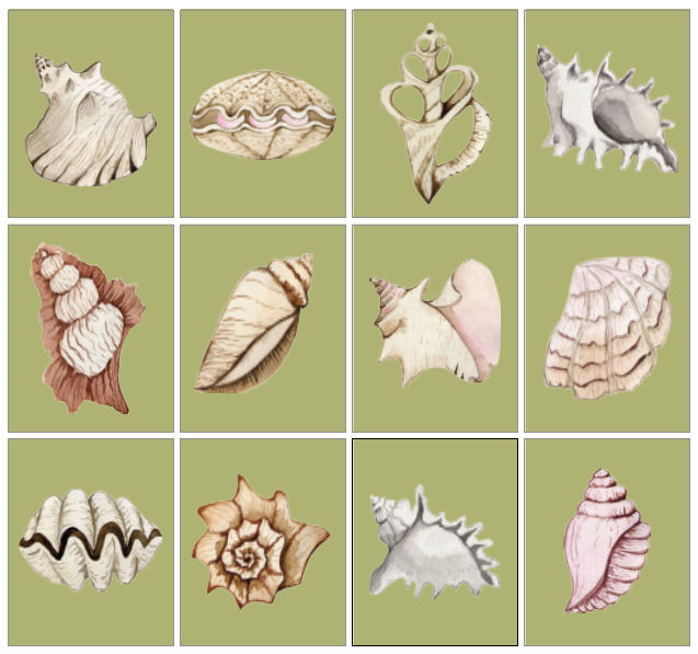 Green Shell Gallery