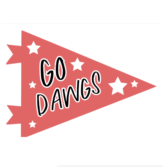 Gameday Pennant Flag