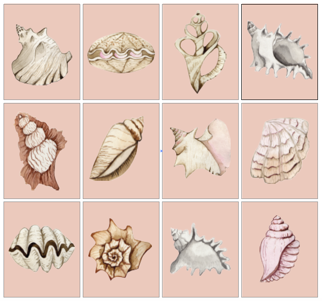 Pink Shell Gallery