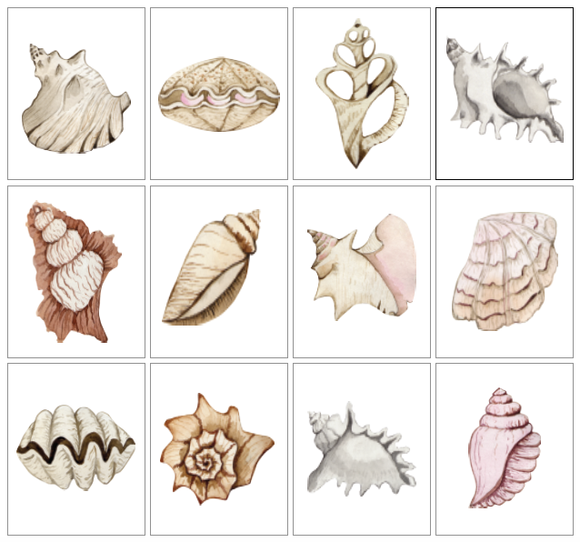 White Shell Gallery