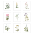Whimsy Garden Botanical Simple Art Gallery