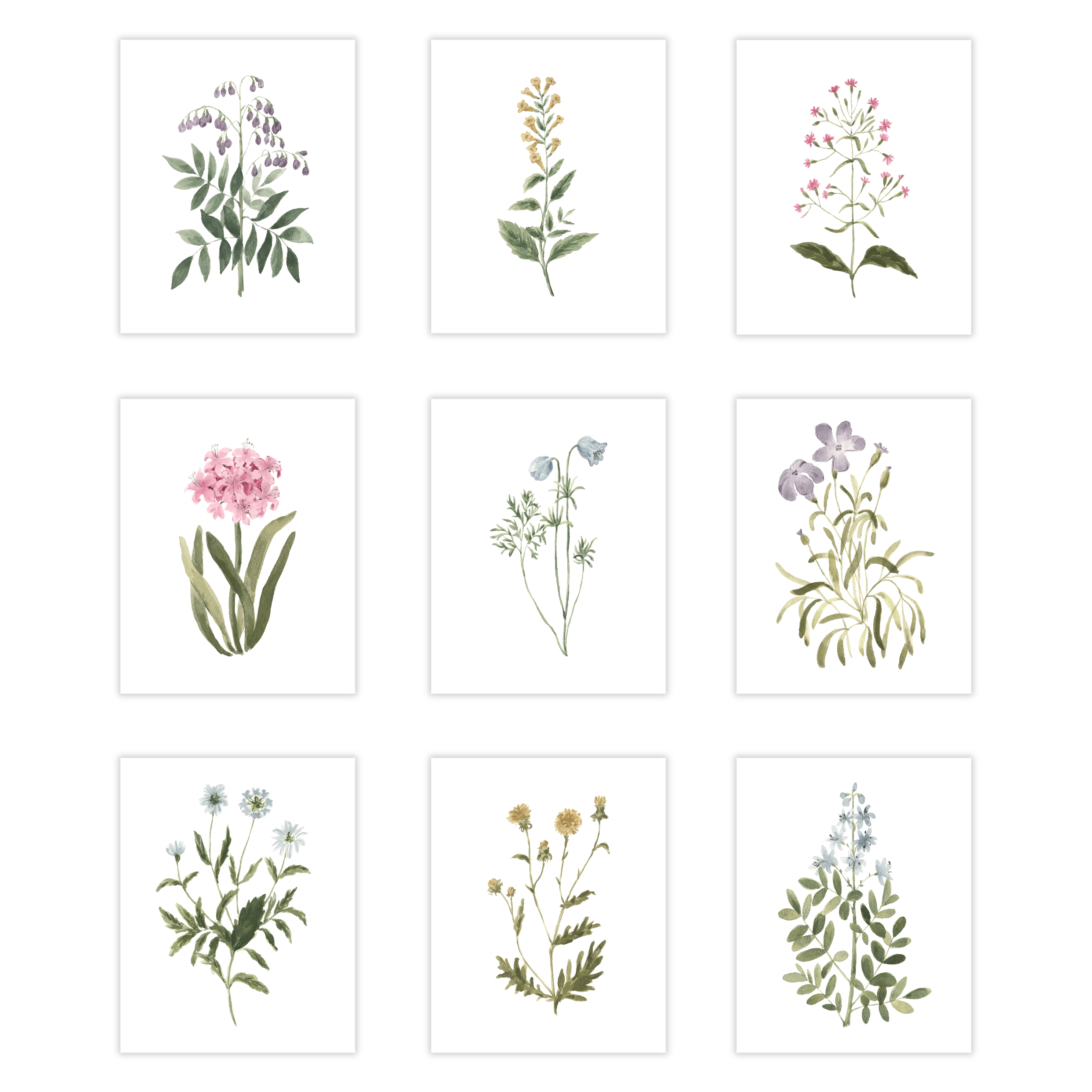 Whimsy Garden Botanical Simple Art Gallery