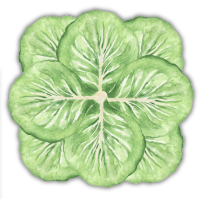Cabbage Table Accent
