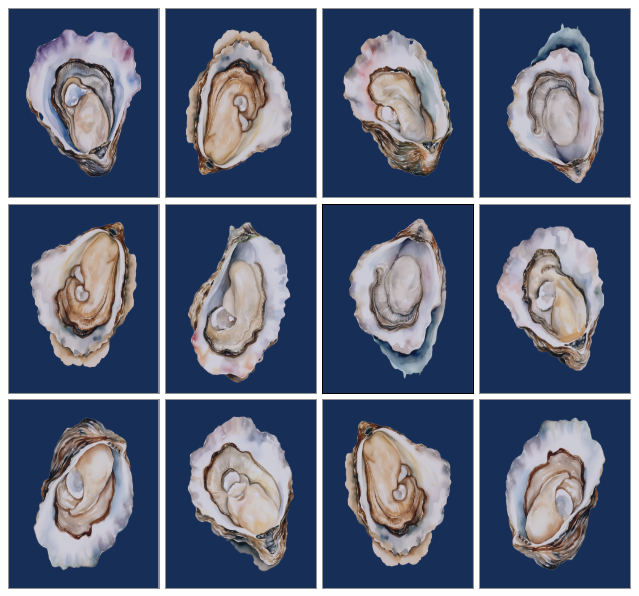 Navy Oyster Gallery