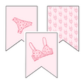 Lingerie Shower Banner