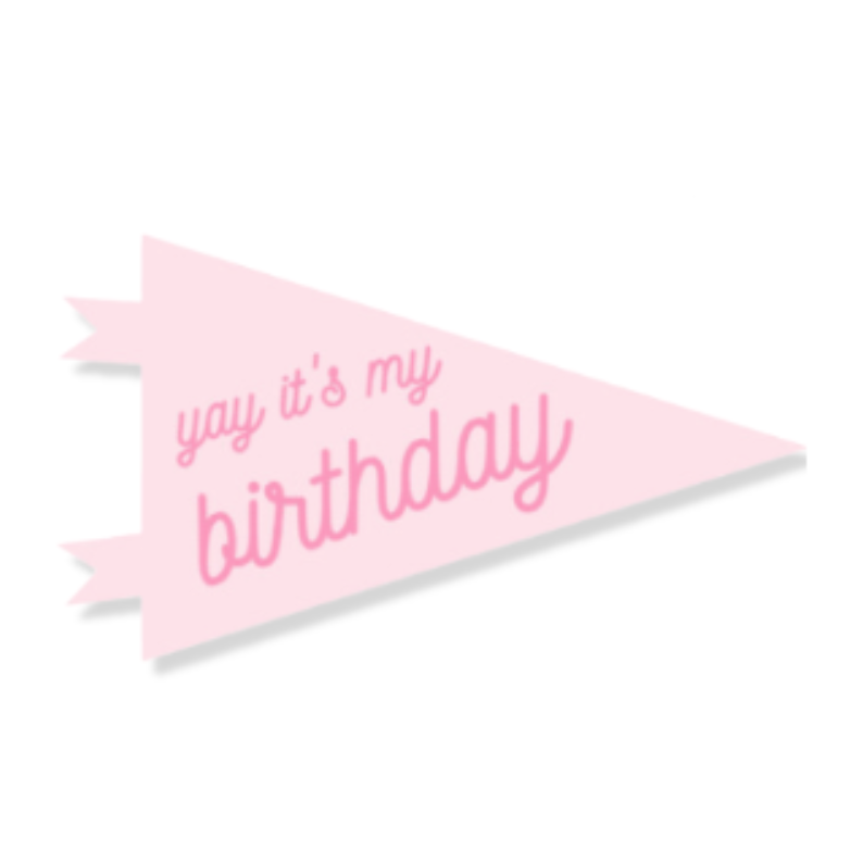 Classic Pink Party Pennant Flag