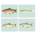 Mint Fish Gallery