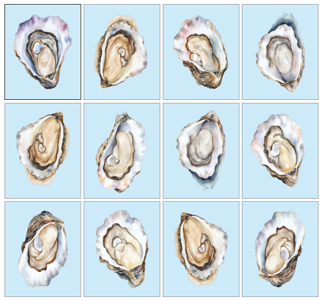 Blue Oyster Gallery