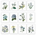 Blue Floral Gallery
