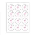 Flamingo Cupcake Toppers