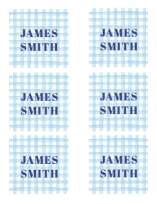 Blue Gingham Child's Card / Sticker