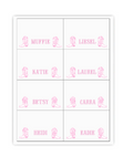 Pink Rodeo Placecard