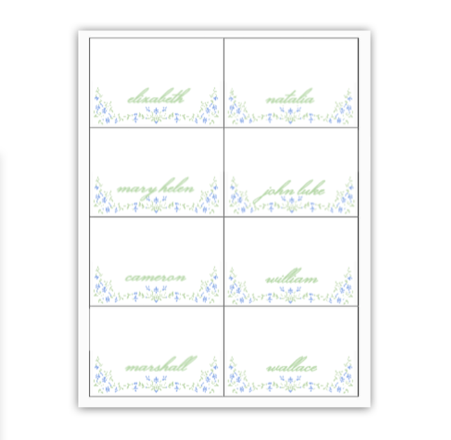 Blue Ladylike Buffet Labels / Placecards