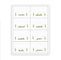 Easter Carrots Place Cards / Buffet Labels