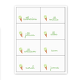 Ice Cream Buffet Labels / Placecards
