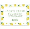 18 x 24 Lemonade Stand Sign