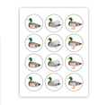 Mallard Cupcake Toppers