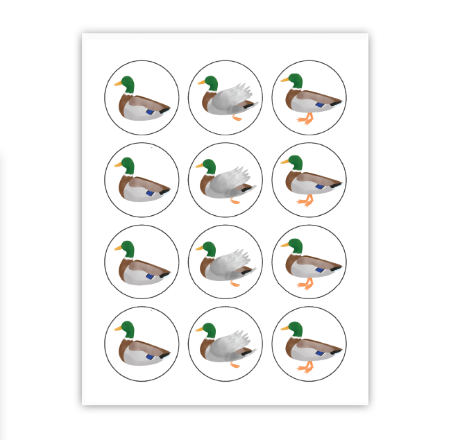 Mallard Cupcake Toppers