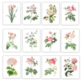 Pink Floral Gallery