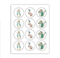 Peter Rabbit Cupcake Toppers