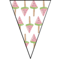 Watermelon Pennant Banner